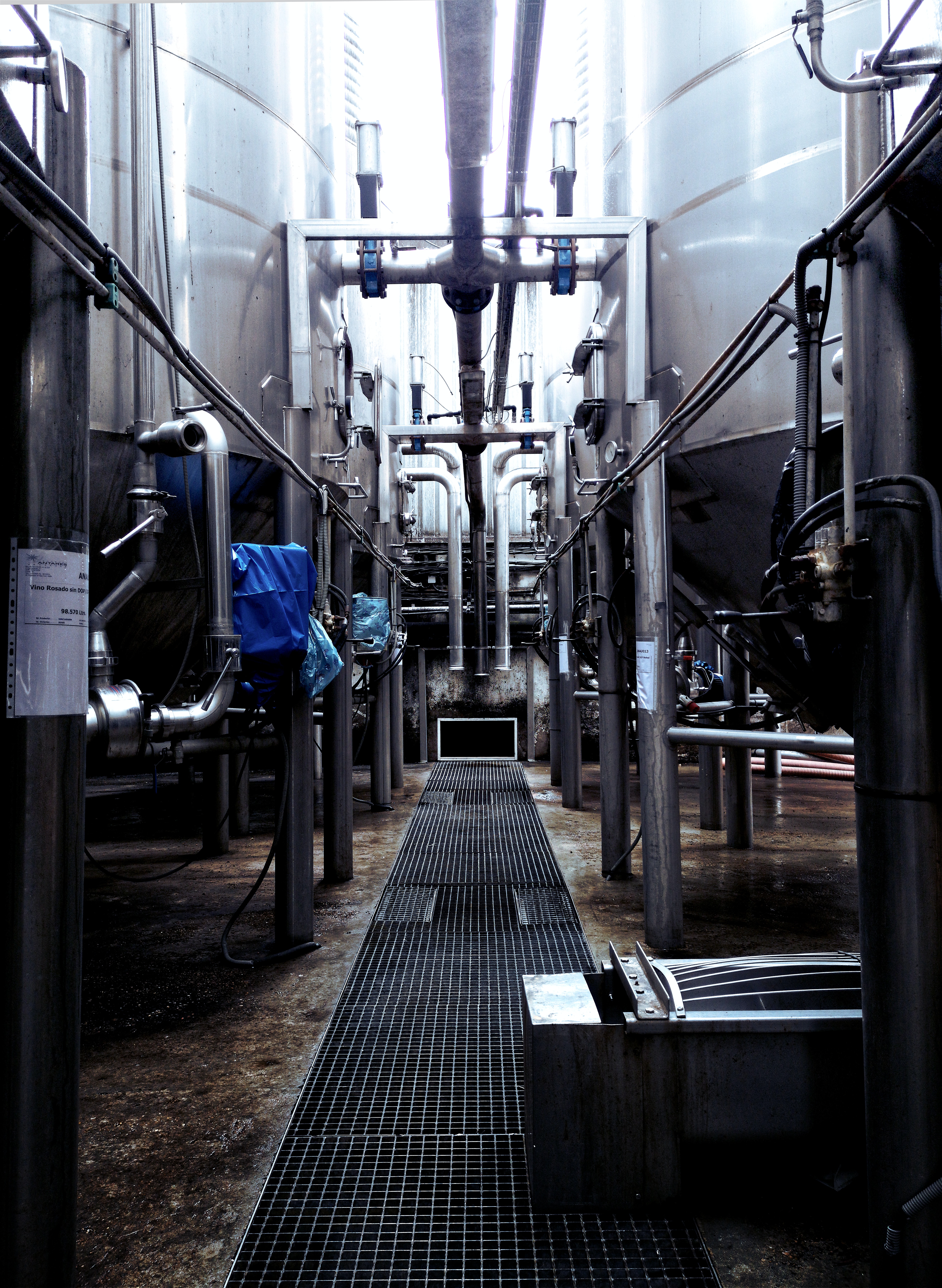 Goverment Lorem Ipsum Sit Amet Consectetur dipisi?